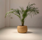 Handwoven Bolga Wide-Mouth Plant Pot Basket